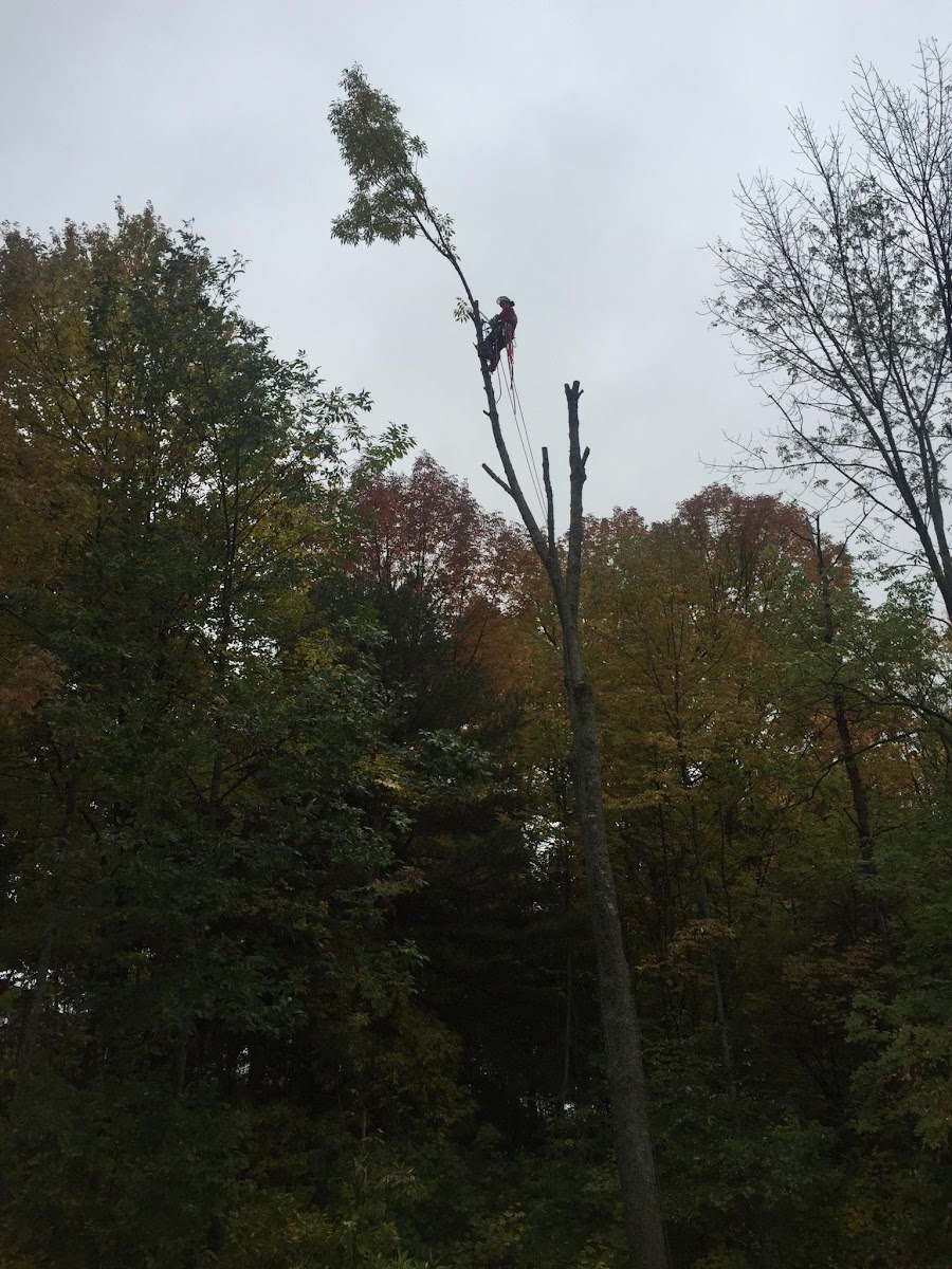 Drone surveying property for wildfire risk assessment